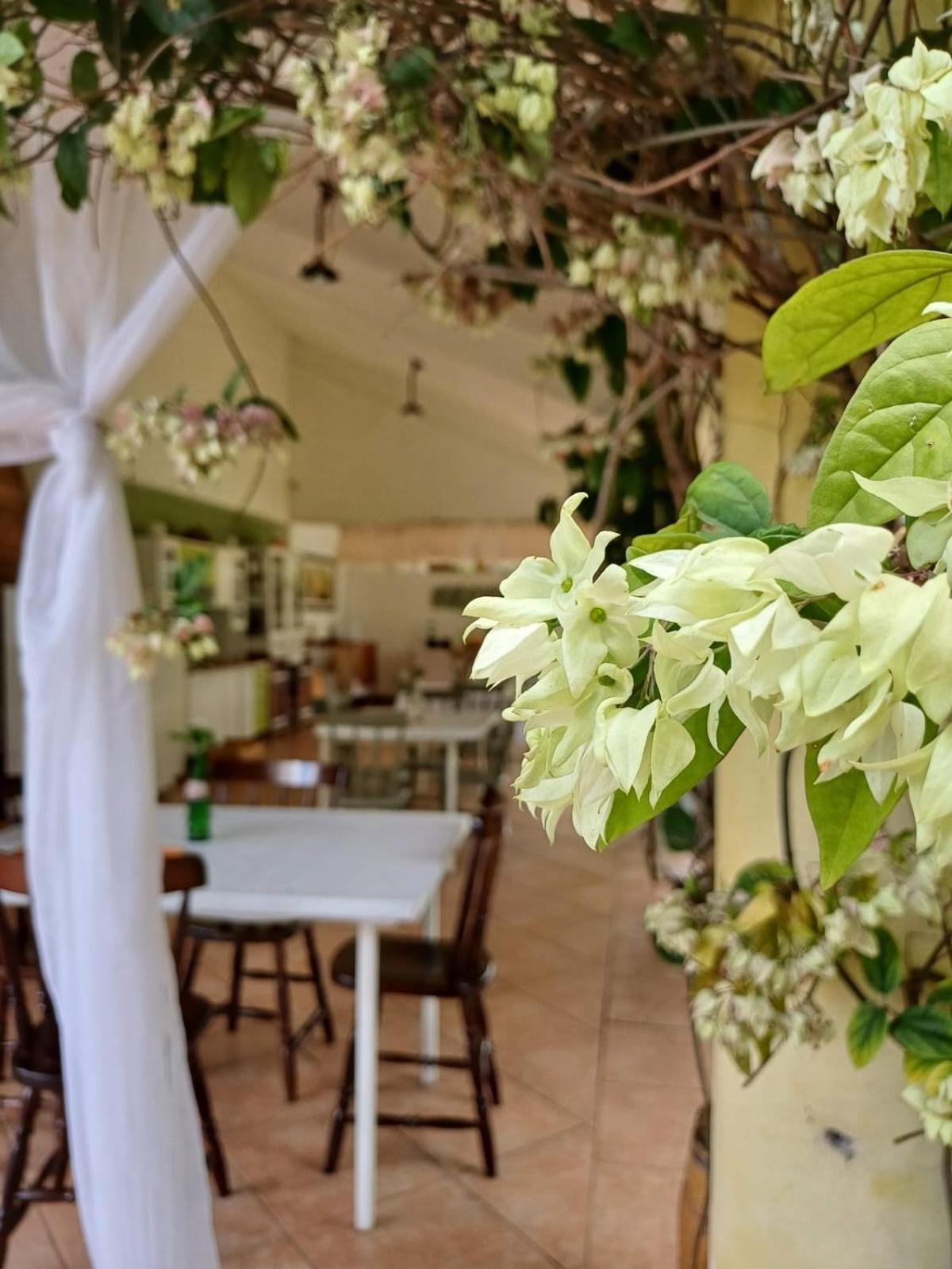São Gabriel Chacara Rosa Cortiana Bed & Breakfast エクステリア 写真
