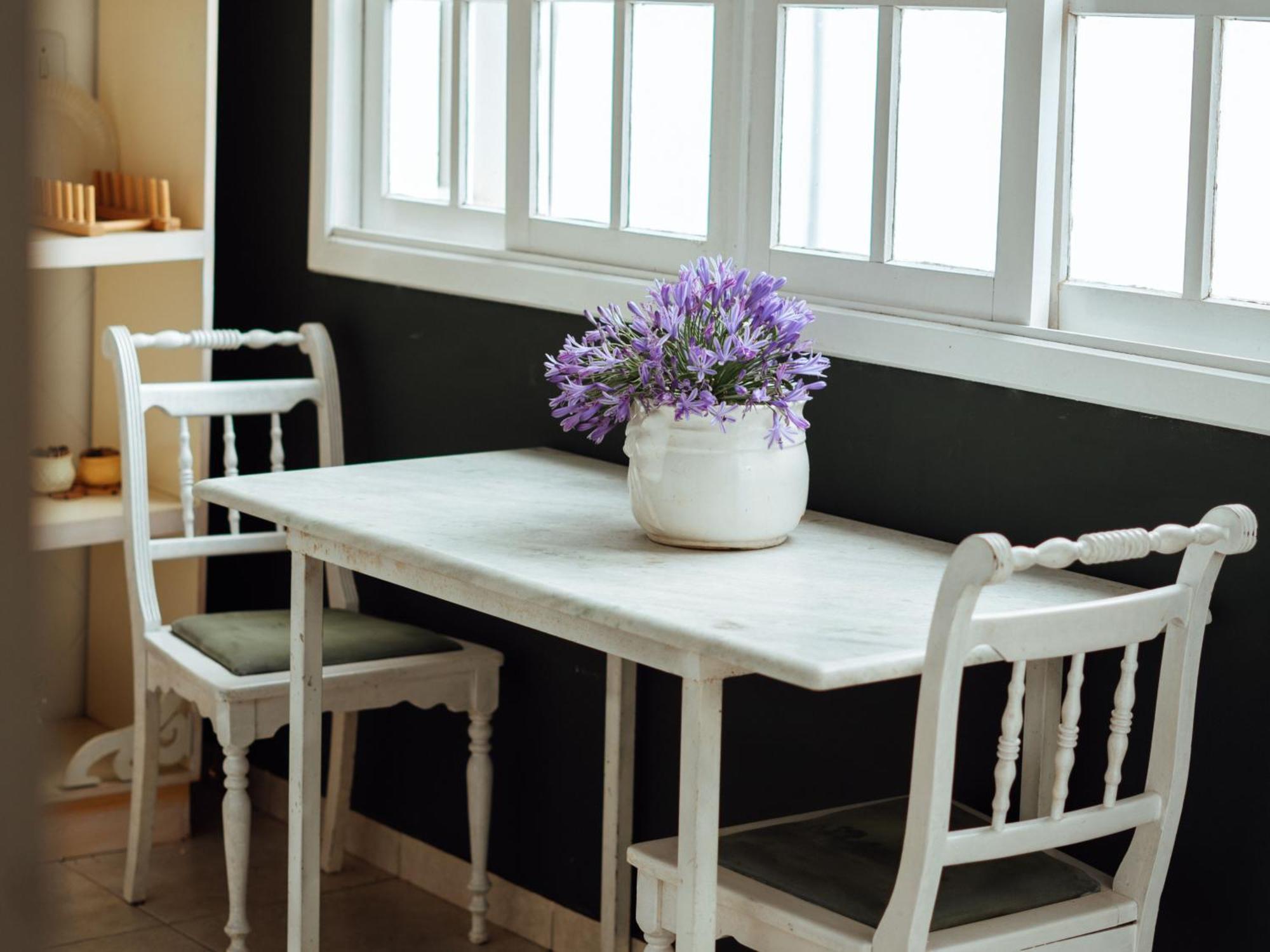 São Gabriel Chacara Rosa Cortiana Bed & Breakfast 部屋 写真