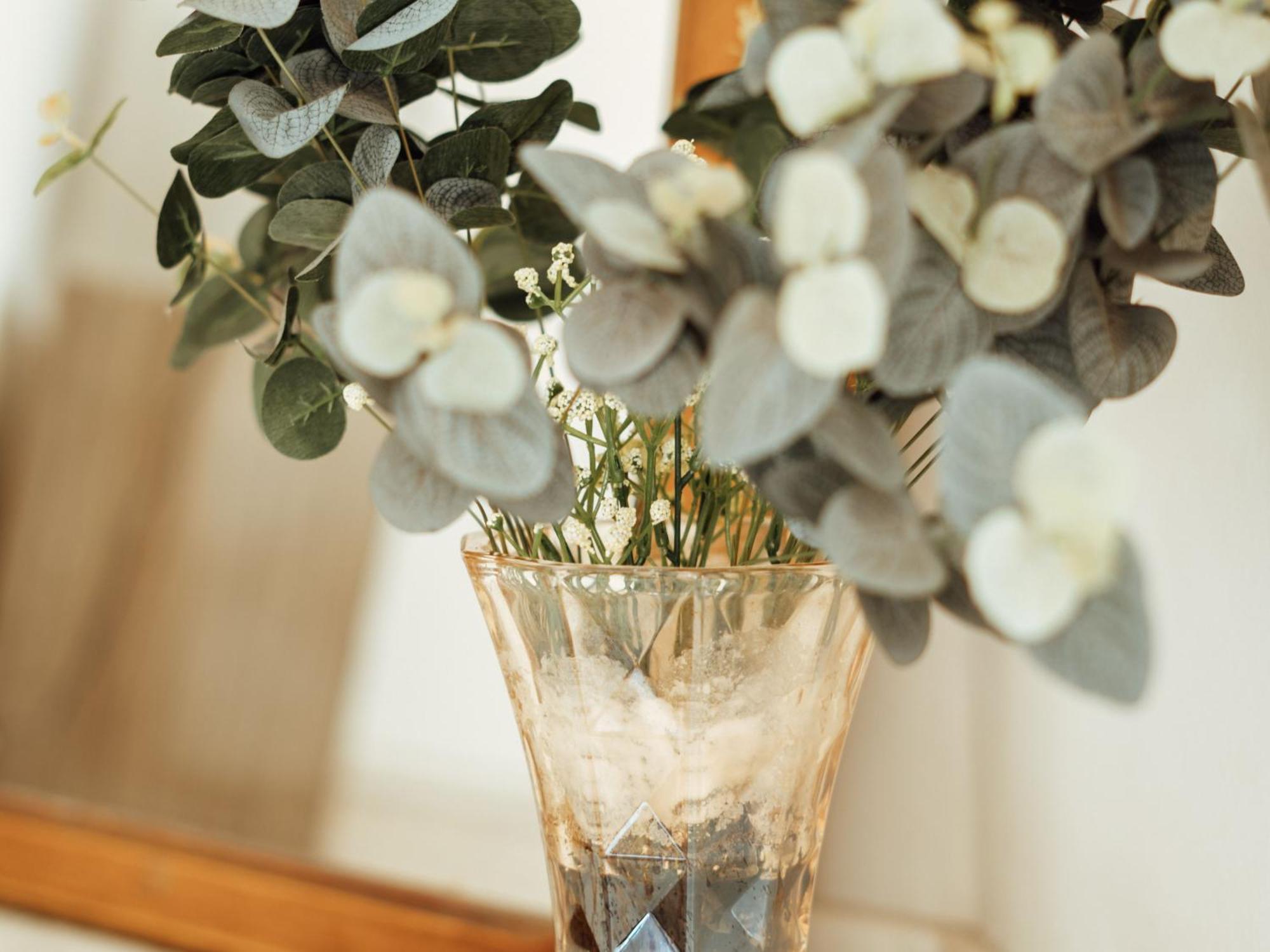 São Gabriel Chacara Rosa Cortiana Bed & Breakfast エクステリア 写真