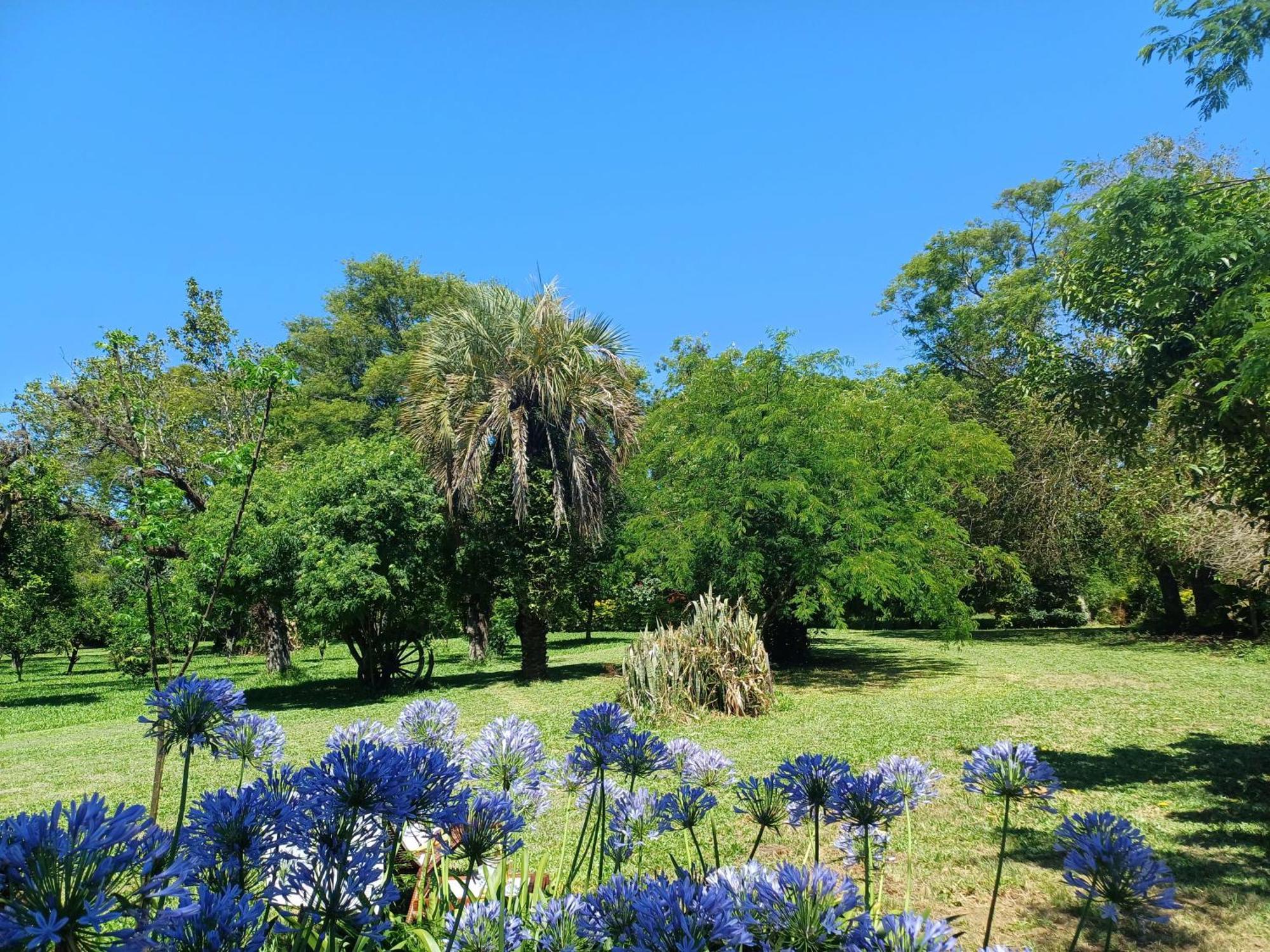 São Gabriel Chacara Rosa Cortiana Bed & Breakfast エクステリア 写真